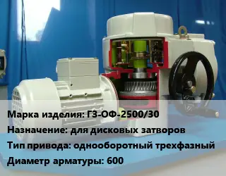 Электропривод ГЗ-ОФ-2500/30 для дисковых затворов однооборотный трехфазный 600